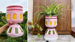 Discover the perfect plant for your home simple ways to recycle plastic bottles
