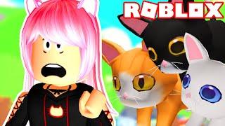 TODOS MIS GATOS HAN DESAPARECIDO *ROBLOX*