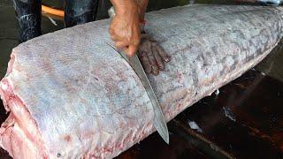 Giant Marlin Cutting Skills Fried fish steak Luxurious sashimi  巨大旗魚切割技能 香煎旗魚排 旗魚金三角 - 台東美食