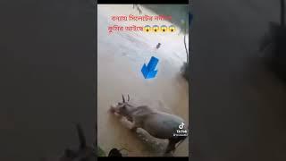 সিলেটের বন্যার পরিস্থিতি অবস্থা ভয়াবহ