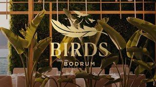 BIRDS BODRUM Restaurant & show