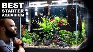 The Budget Aquarium Setup You Cannot Miss