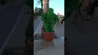 Bushman Prank Went Wrong.    #prank #fun #funnyprank #funny #shorts #viral #laugh #failvideos #fyp