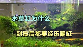 水草缸为什么到最后都得经历翻缸？其实就是因为这些固体小颗粒