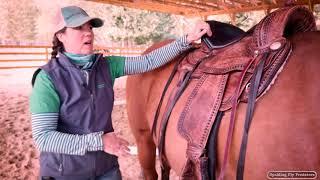 Proper Saddle Fit with Doc Jenni Grimmett DVM