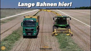 Lange Bahnen hier 352ha Roggen mähen & Häckseln Grünlandernte in der Landwirtschaft John Deere