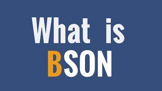 What is BSON