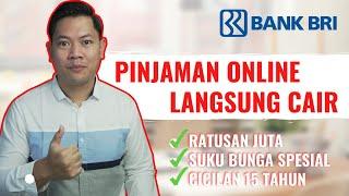 PINJAMAN ONLINE LANGSUNG CAIR DARI KREDIT BRIGUNA - BANK BRI