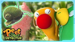 Raspberry VS Apple Snail Full Episode  Cartoons for Kids  Peet The Forest Detective