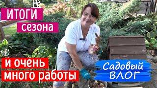 До заморозков - два дня. Приводим сад в порядок Итоги сезона 2024.