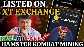 Hamster Kombat Listed On XT Exchange  Real Or Fake  Hamster Kombat Real Listing Date