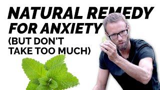 Natural Remedy For Anxiety? Lemon Balm Melissa officinalis