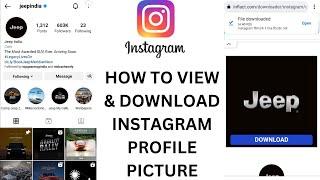 How to View & Download Instagram Profile Picture