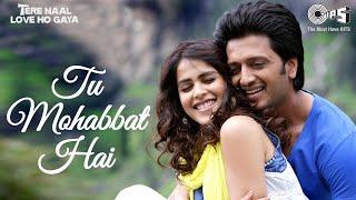 Tu Mohabbat Hai  Tere Naal Love Ho Gaya  Riteish Deshmukh Genelia Deshmukh  Atif Aslam Monali