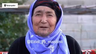 Eda Mahdo      #ezidi #kurdish  #Viranşehir        #türkiye