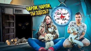 ЧАРЛИ-ЧАРЛИ ТЫ ЗДЕСЬ? В РЕАЛЬНОЙ ЖИЗНИ В НАШЕЙ ТРЁХКОМНАТНОЙ ПАЛАТКЕ С КОТАМИ И СОБАКОЙ