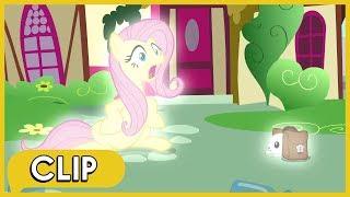 Fluttershy and Angel Bunny Switch Bodies - MLP Friendship Is Magic Season 9