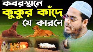 কবরের আজাব দেখে গরুর ভয়ংকর অবস্থা হাফিজুর রহমান সিদ্দিকী কুয়াকাটাhafizur rahman siddiki kuakata