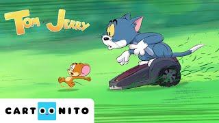 TOM VE JERRY  Çifte Sorun  #YENİ Çizgi Film  @CartoonitoTurkiye