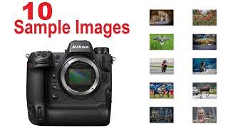 Action NIKON Z9 Photography SAMPLE IMAGES Pro Camera for Nature-Wildlife Sports-Events