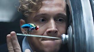 Man Trains A Fly To Steal $500 Million From Worlds Safest Bank