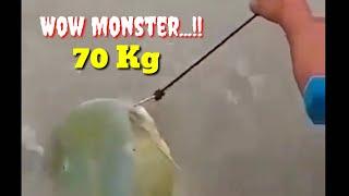 Wow.... Mancing baung terbesar  Big Monster Catfish Catch 70 kg