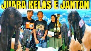 JUARA KELAS E JANTAN KONTES KAMBING PE KALIGESING ELEGANSI DAN TRADISI