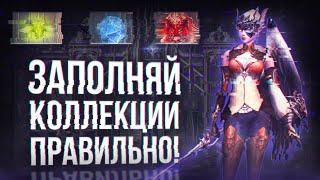 коллекции руководство для новичков  lineage 2 essence 2024