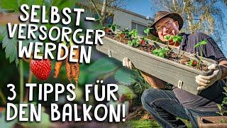 3 Selbstversorger Tipps für den Balkon  Kräuter Obst & Gemüse anbauen mit wenig Platz