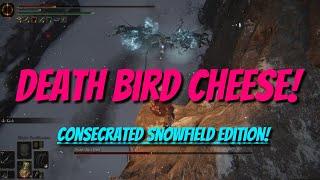 Elden Ring How to Cheese Death Rite Bird Consecrated Snowfield Edition