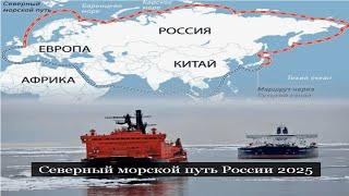 ТАРО #Аврора #гадание Северный морской путь России 2025