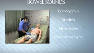 HAL® S3201 - Part 9 - Bowel sounds