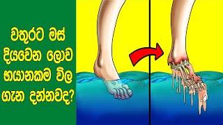 වැටුනොත් වතුරට මස් දියවෙන ලෝකයේ භයානකම විල ගැන ඔබ දන්නවද?  5 Most Terrifying Lakes on Earth