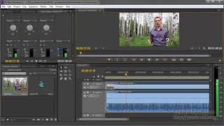 Редактирование аудио каналов внутри стерео дорожки в Adobe Premiere Pro