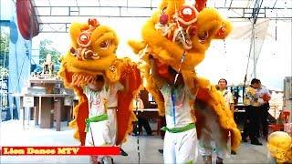 Lion Dance For Kids mua lan khai truong Lion Dace MTV