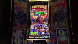 Big jackpot $9543 win Multipliers bonus-in-bonus Buffalo Cash #jackpot #handpay #hugewin