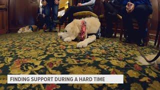 Comfort dogs bring solace to Perry Iowa community in wake of shooting