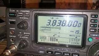 ICOM IC-746PRO swr plot