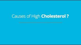 Causes of High Cholesterol