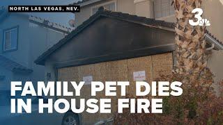 North Las Vegas family deals with injury pet death after house fire