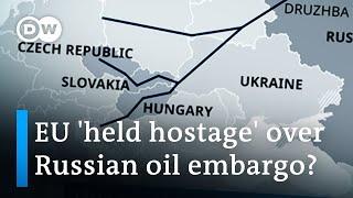 Ban on Russian oil imports would cross red line says Hungary  DW News