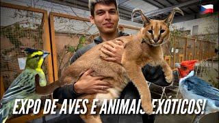 VISITANDO A MAIOR EXPO DE ANIMAIS EXÓTICOS DA REPÚBLICA TCHECA￼