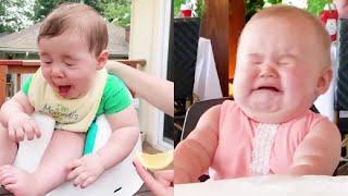 New Funny Babies Eating Lemons For The First TimeFunny And Cute Baby Reaction Videos