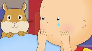 Caillou Loses a Friend  Caillou Cartoon