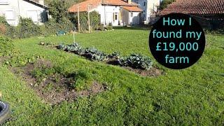 Buying my £19000 farm - My homestead renovation