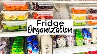 Fridge Organization  Refrigerator Clean and Organize with me