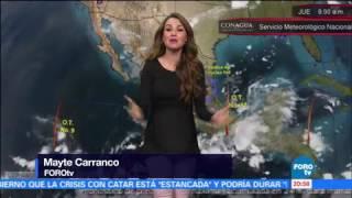 Mayte Carranco Forotv