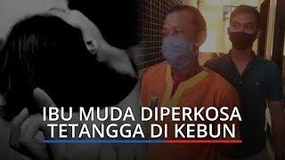 Ibu Muda di Lamongan Diperkosa Tetangga di Kebun