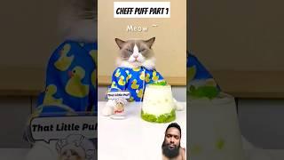 chef puff part 1 #cat #whatshouldpuffdo #chefpuff #recipe #pets #thatlittlepuff #mrspuff #satisfying