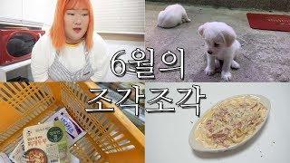 2019년 6월의 조각조각 브이로그 -VLOG